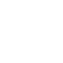 1 Scaling Icon-min